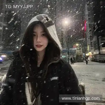 蓬盈晓 蓬盈晓